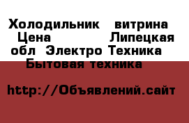 Холодильник - витрина  › Цена ­ 14 000 - Липецкая обл. Электро-Техника » Бытовая техника   